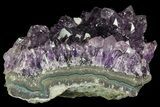 Purple Amethyst Cluster - Uruguay #66754-2
